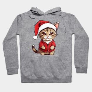 Cute Cat Wearing A Santa Hat Hoodie